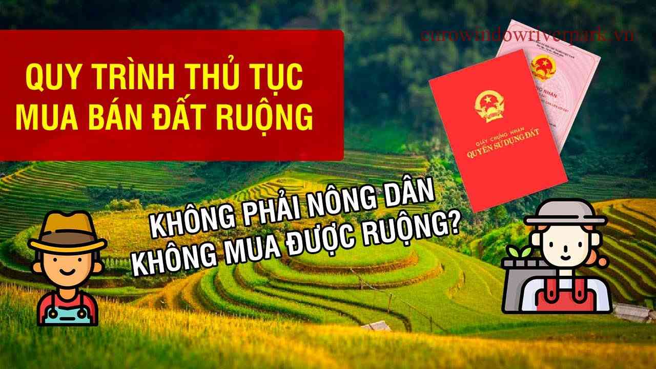 Khám phá hợp đồng mua bán chuyển nhượng ở Việt Nam