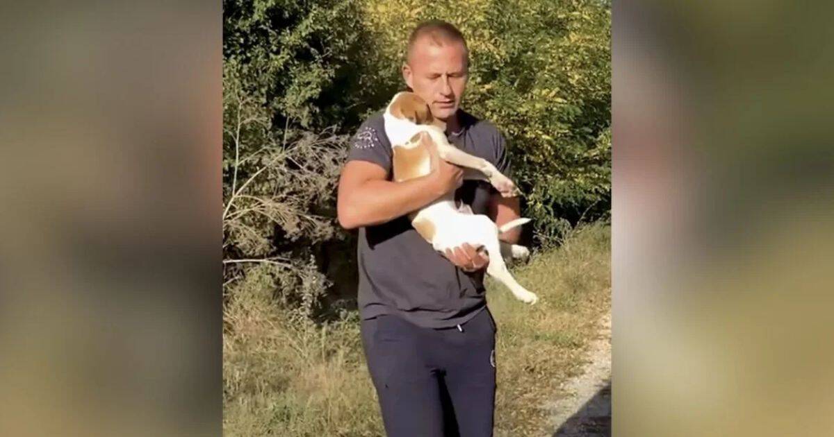 Puppy Abandoned On Roadside Finds Comfort in Rescuer’s Arms
