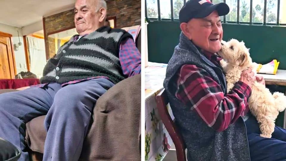 Meet the Puppy Who Gave a 96-Year-Old a Reason to Smile Again