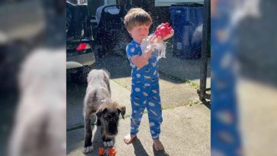 Tiny Puppy Turns Into a Gentle Giant and Changes This Boy’s Life