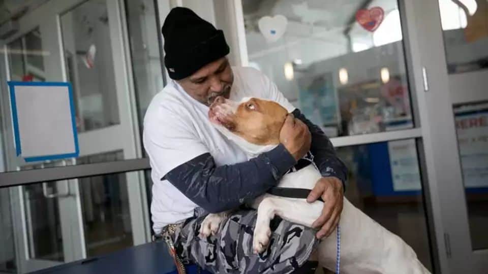 The Heartwarming Reunion of a Man and His Pit Bull After a Painful Shelter Stay