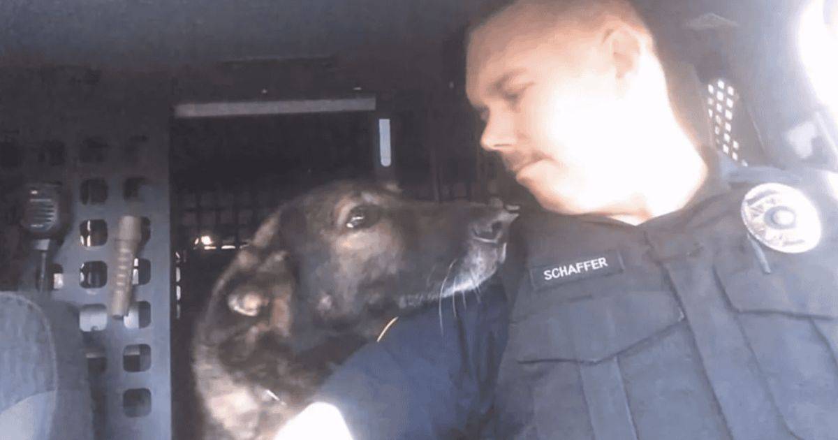 After 8 Years of Service, K-9 Hero Faust Bids a Heartfelt Farewell With Final Radio Call