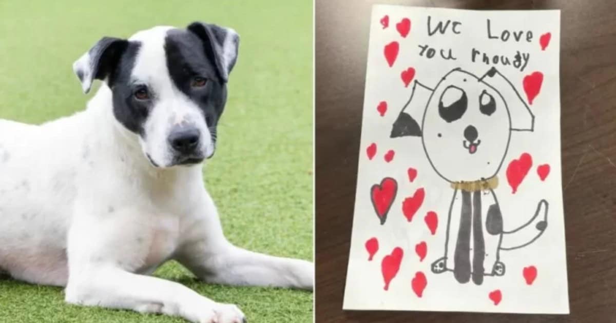 Surrendered Dog At Shelter Found With Kids’ Heartwarming Goodbye Note