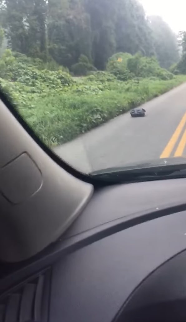 The Garbage Bag That Changed Two Lives Forever