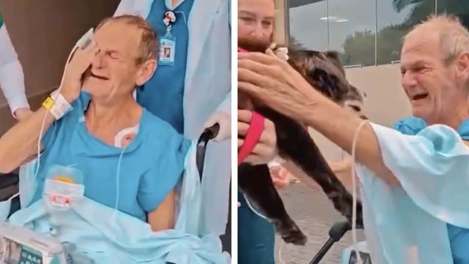 Elderly Man’s Health Improves After Heartfelt Reunion With His Dog