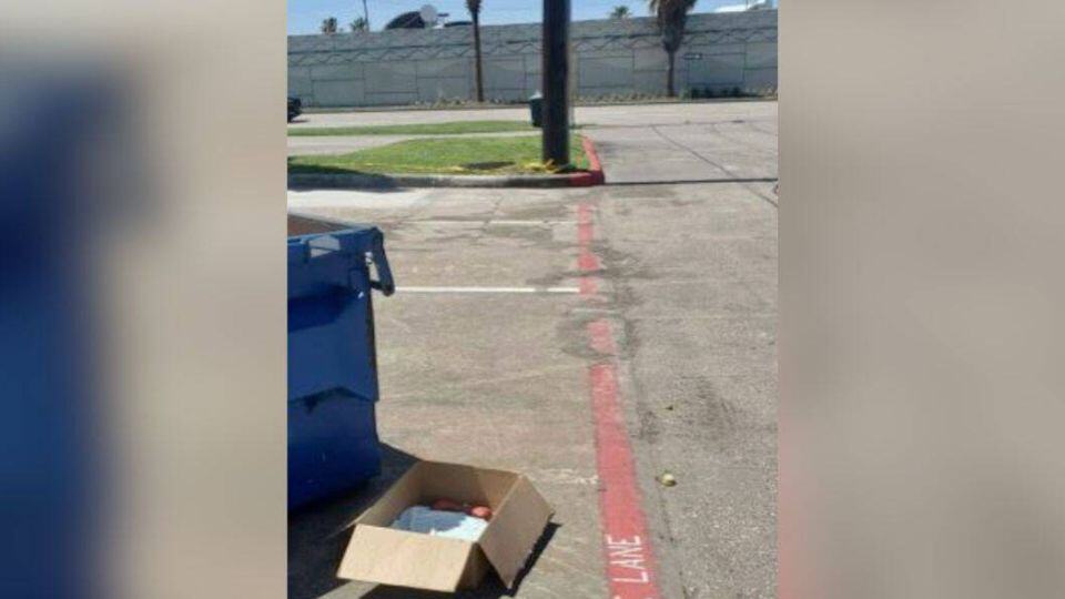Tiny Puppy Left in Cardboard Box Near Dumpster Finds Hope and a Second Chance