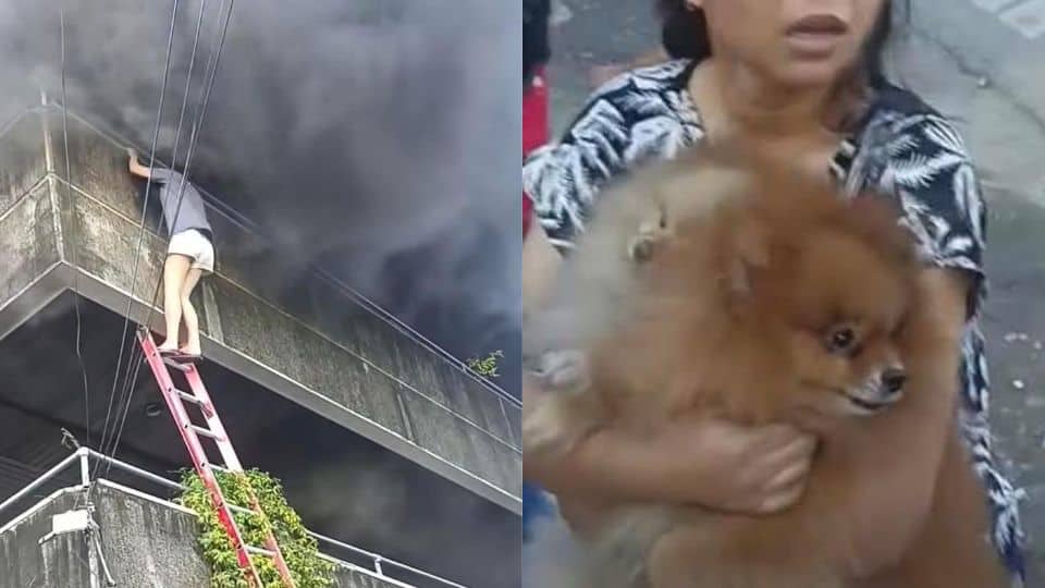 Woman Fights Through Fire And Smoke To Save Her Trapped Dogs