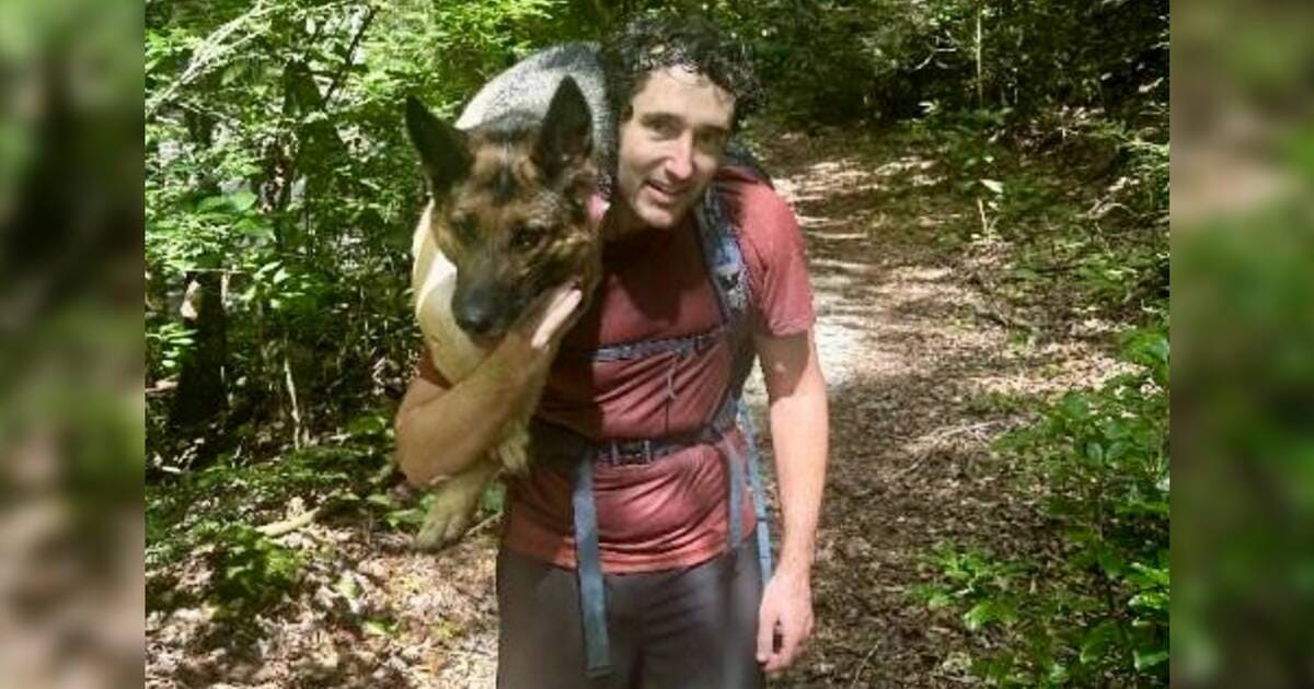 Dog With Shattered Leg Found In Woods Shows Quiet Trust That Breaks Hearts
