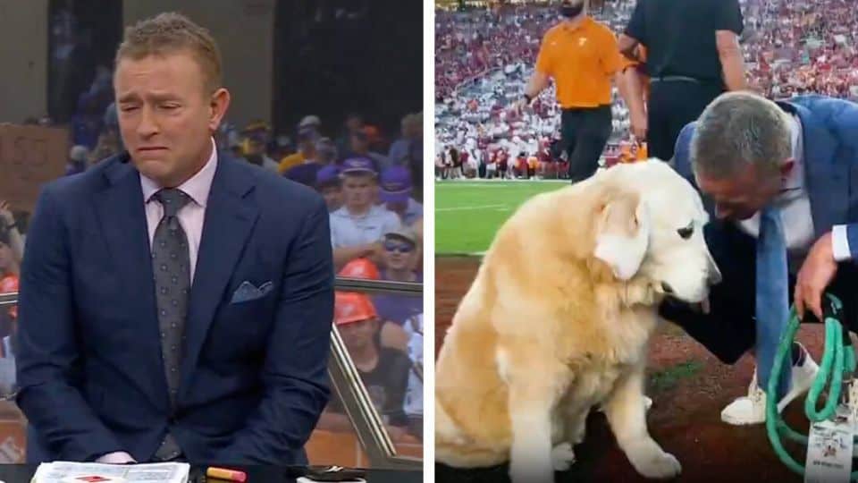 Broadcaster’s Heartfelt Farewell to His Best Friend Moves Millions