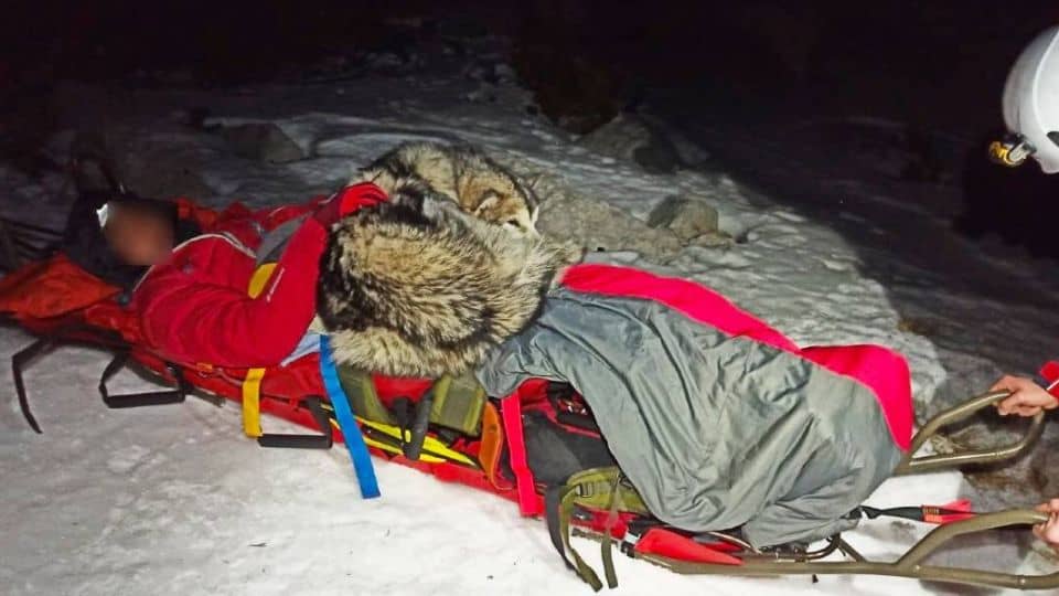 Dog Stays Beside Injured Owner for 13 Hours in Freezing Snow