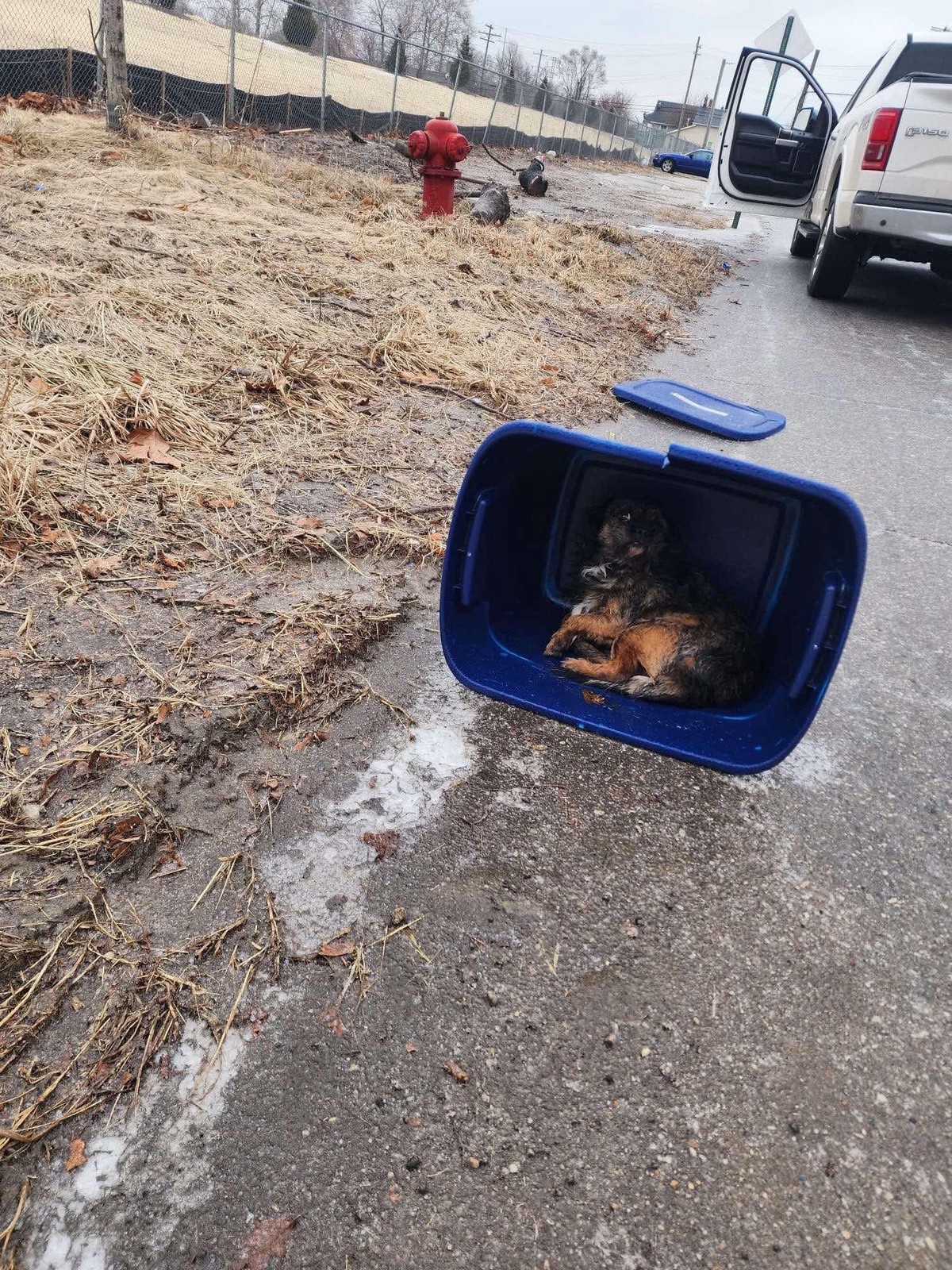 The Tote By The Road Held A Secret That Would Break This Woman’s Heart