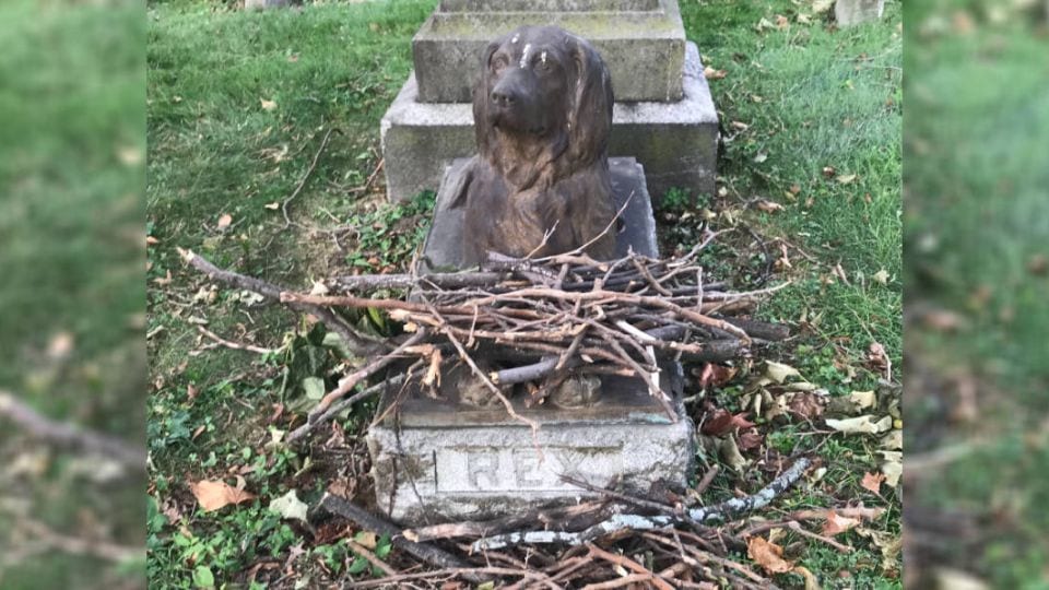 The Loyal Dog Who Still Guards His Owner’s Grave After 100 Years