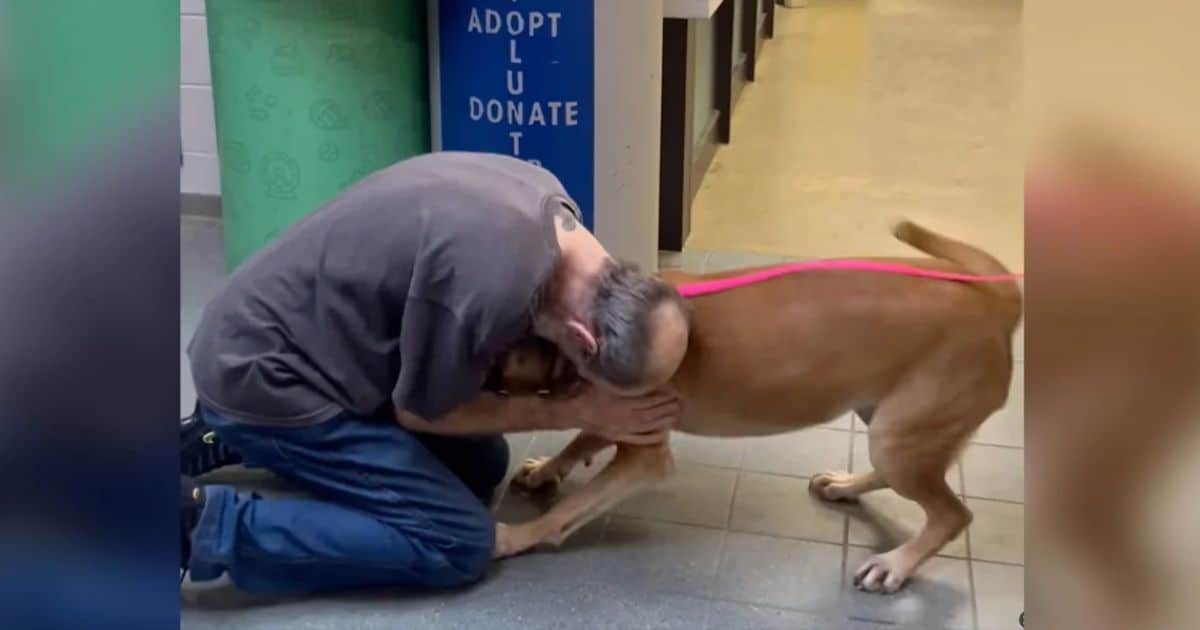 Cancer Survivor Sheds Tears When He Re-Adopts Dog He Was Forced To Surrender