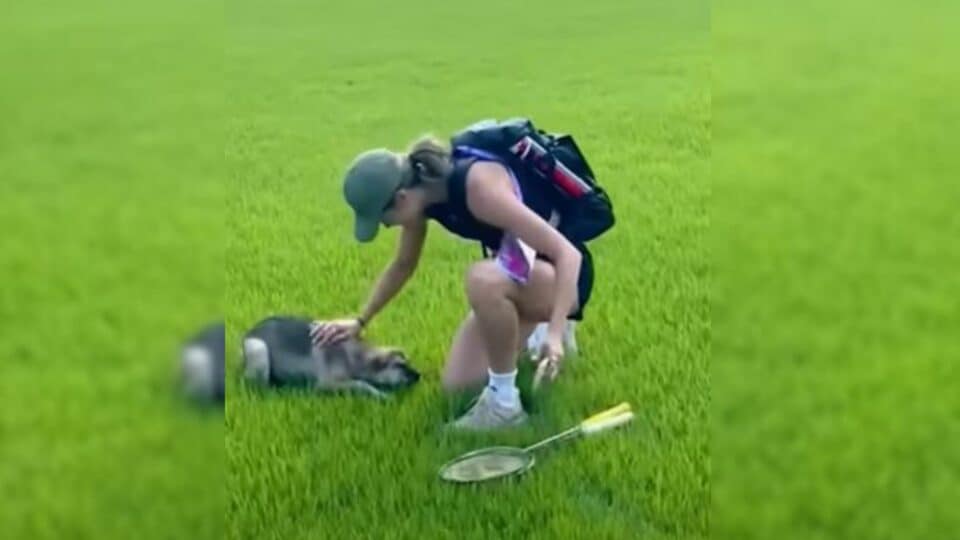 When a Mysterious Pup Kept Crashing Her Practice, This Athlete Did Something Amazing