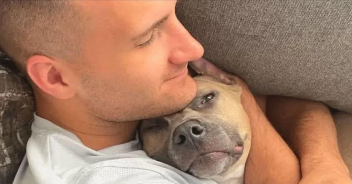 Abandoned Pittie Shows His New Family Just How Much Love Pit Bulls Can Give