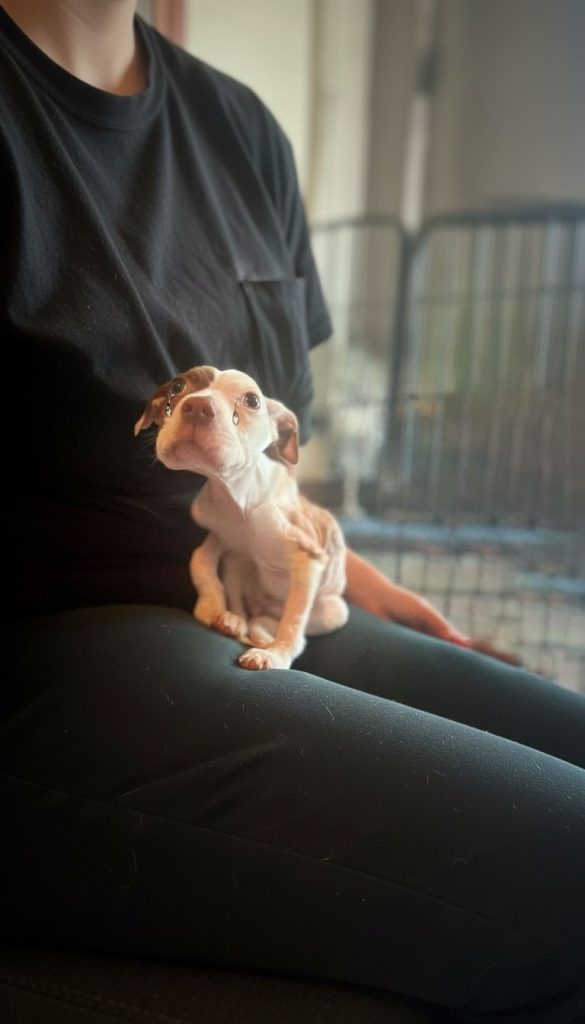 She Weighed Almost Nothing — But Tink Refused to Give Up on Life