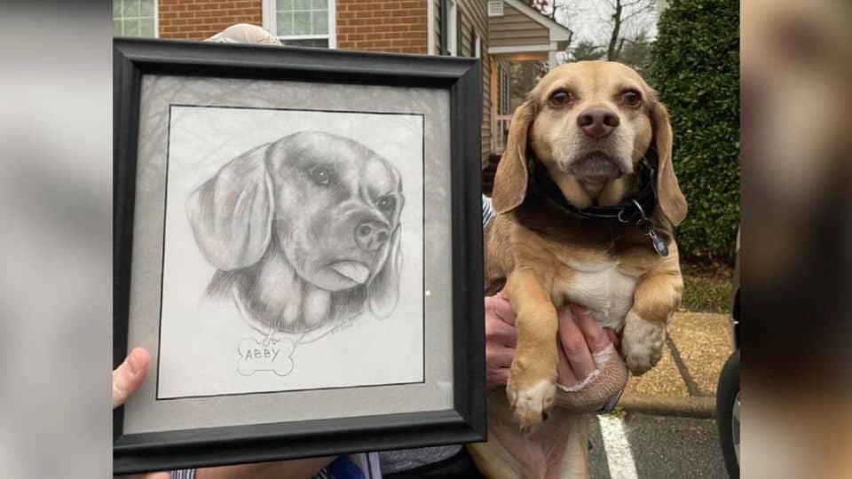Family Leaves Senior Dog With Her Favorite Things And A Loving Portrait