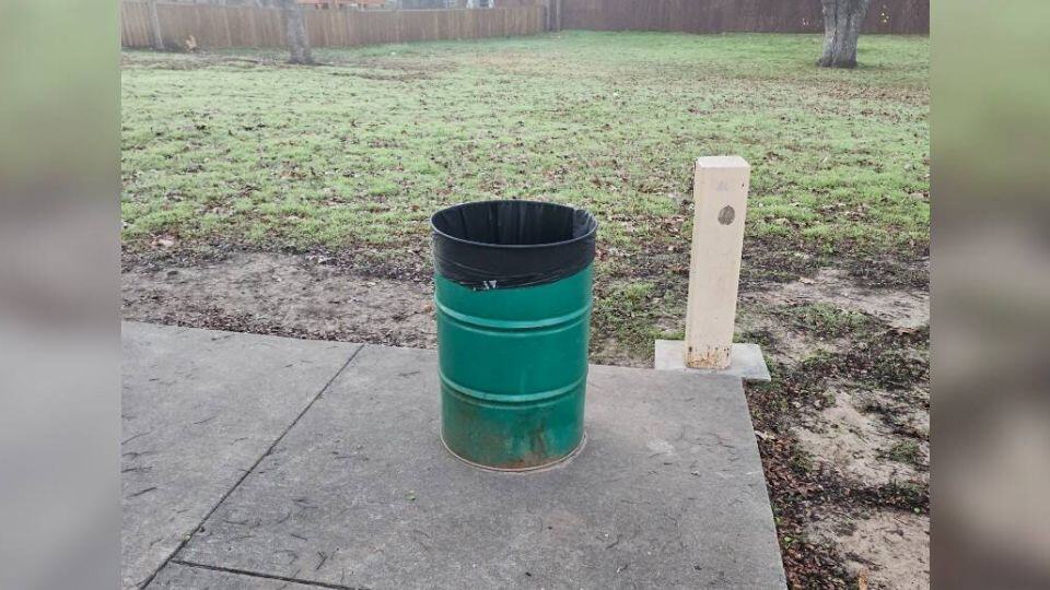 Heartbroken Puppies Discovered in a Park Trash Bin Begin Their Journey Toward Love