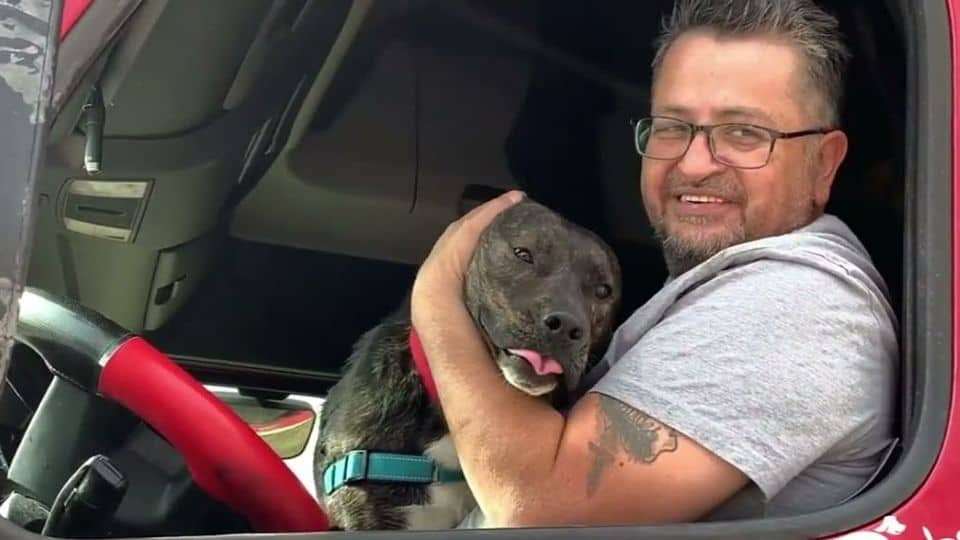 Shelter Dog Ignored for 400 Days Finds the Perfect Travel Partner