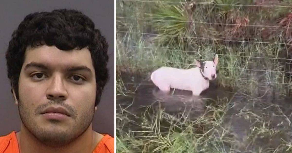 Florida Man Charged with Animal Cruelty After Abandoning Dog Ahead of Hurricane Milton