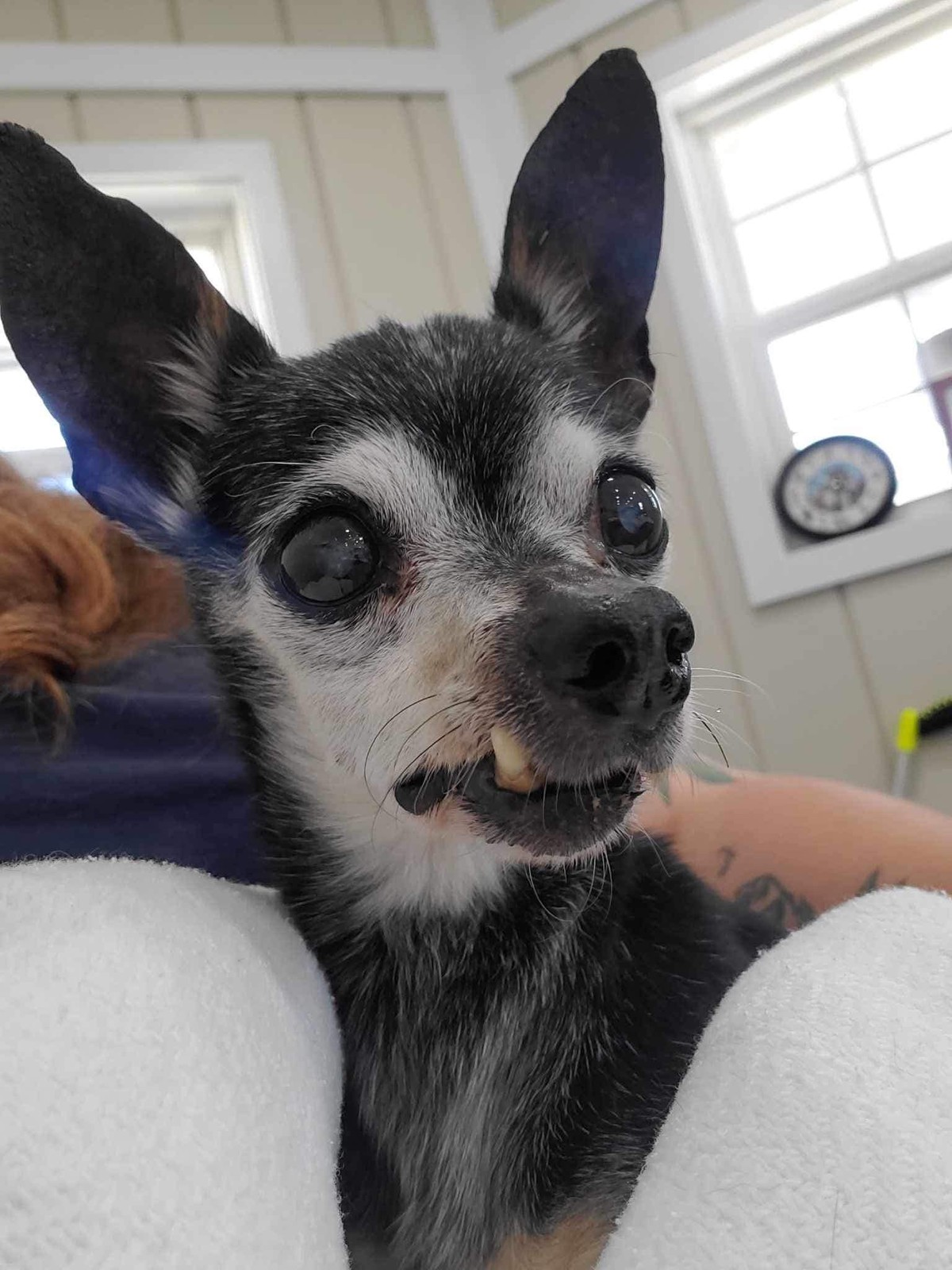 When Love Means Letting Go: 16-Year-Old Nasa Gets Carried Into His Second Chance