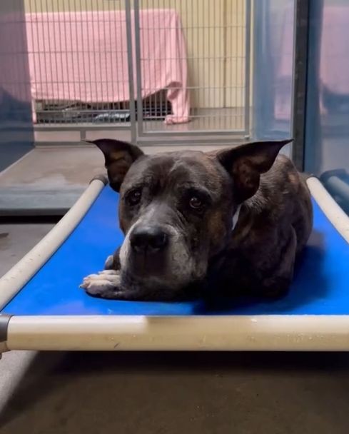 When Time Ran Out for 12-Year-Old Serenity, Love Found a Way
