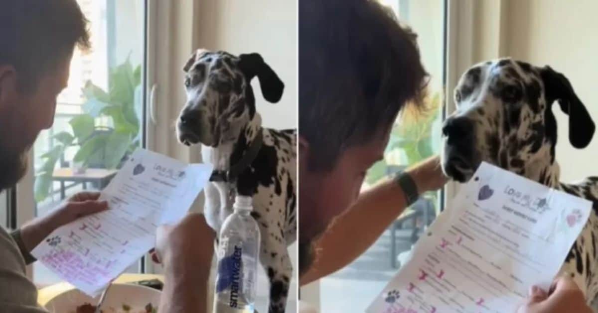 Maddox Can’t Contain His Joy When He Hears His Daycare Report Card!