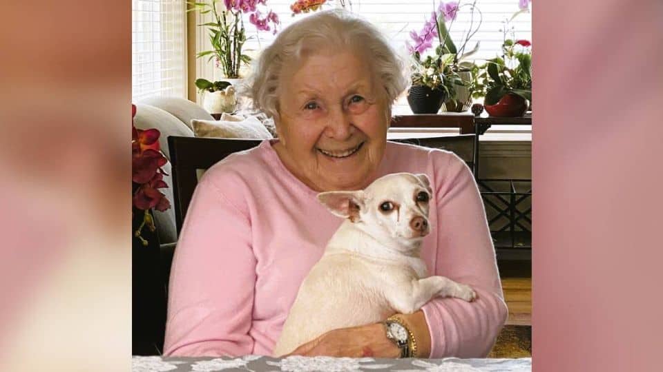 No One Wanted This Senior Dog Until a 100-Year-Old Woman Applied to Adopt Him