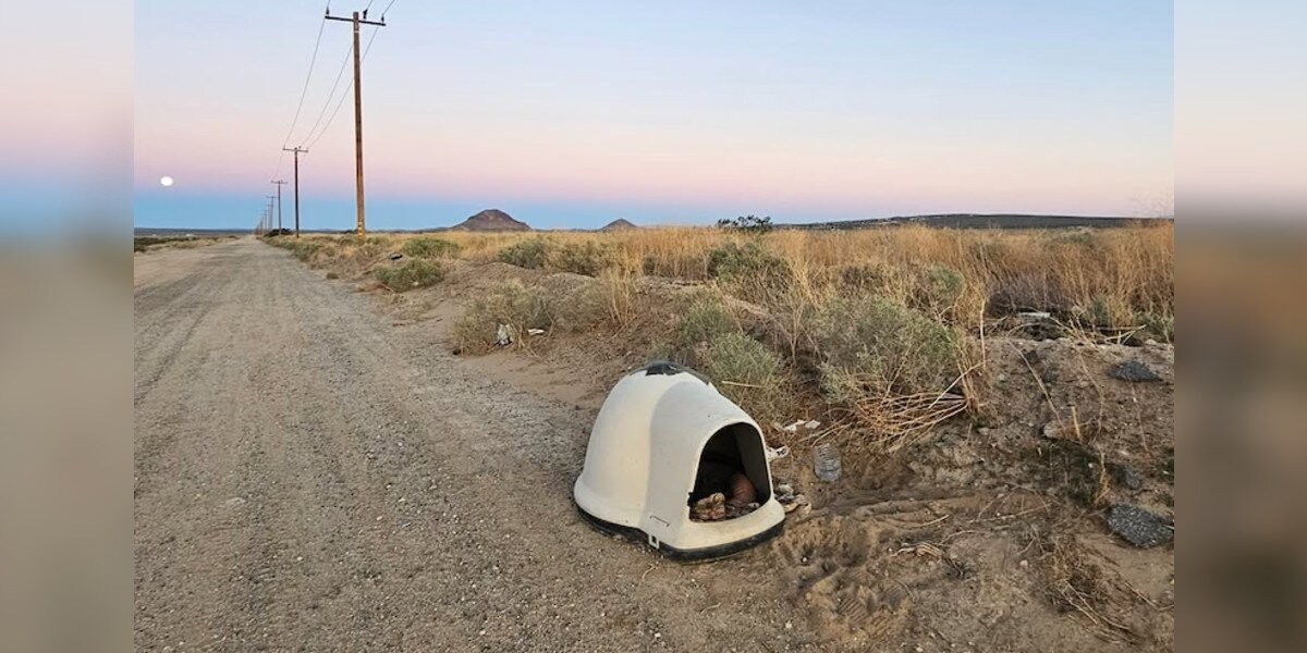 Two Frightened Eyes Peek From Desert Igloo — Then Love Changes Everything