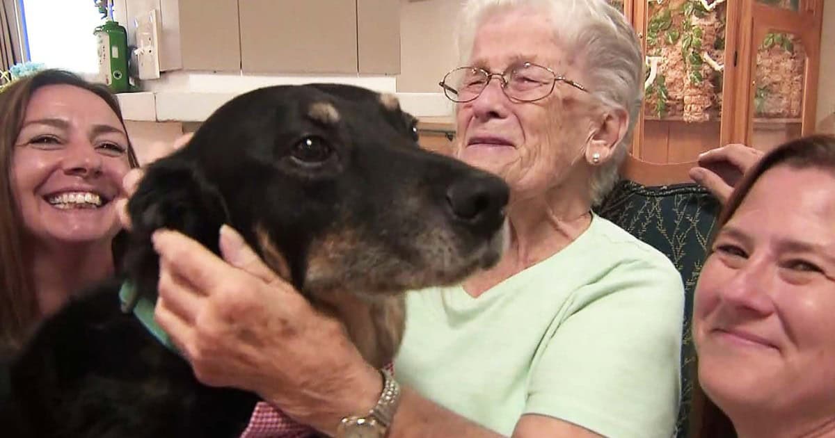 Brave Pup Sneaks Out From Shelter To Hang Out With Nursing Home Residents