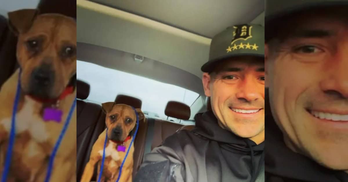 Detroit Police Officer Bravely Rescues Shivering Pit Bull Left Tied to a Porch in Freezing Cold