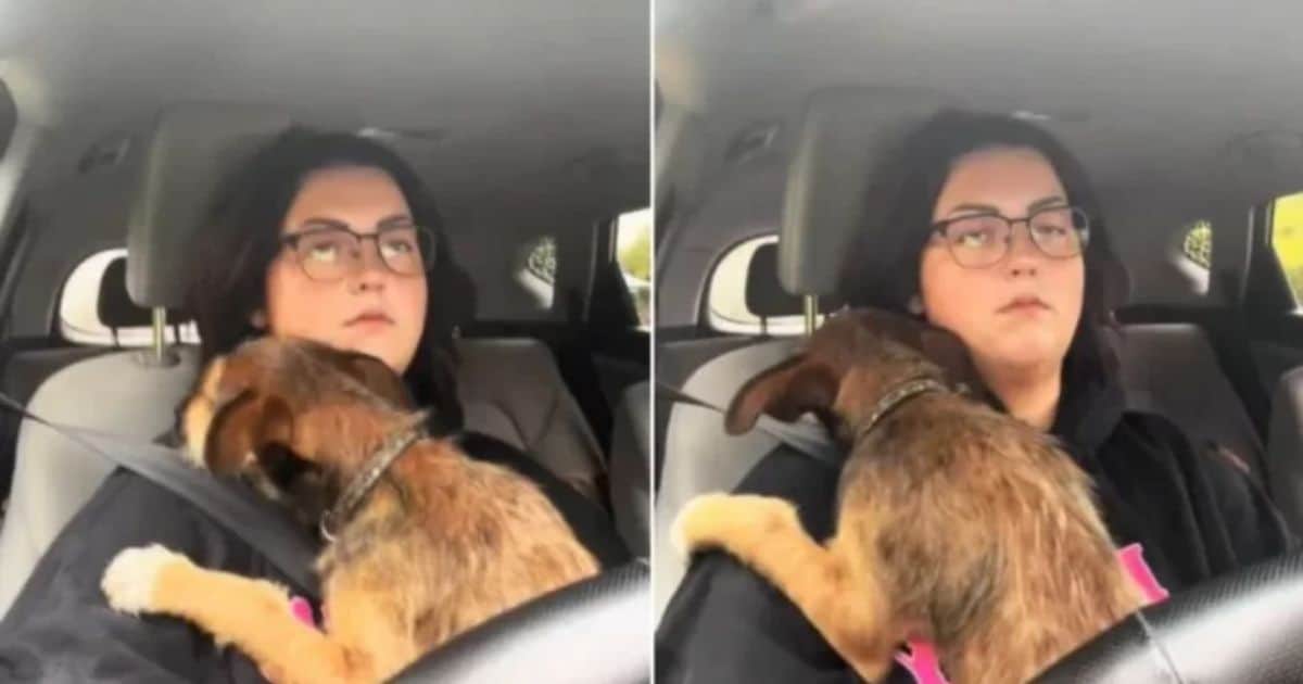 Heartbroken Dog Clings to His New Owner During Car Ride After Being Abandoned