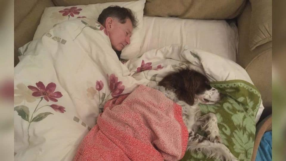 Senior Dog Can’t Climb Stairs, So His Family Sleeps Beside Him Every Night