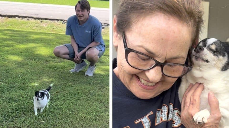 Grace’s Gentle Light: A Blind Dog Who Sees with Her Heart and Loves Without Limits